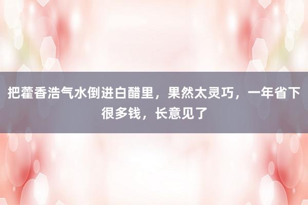 把藿香浩气水倒进白醋里，果然太灵巧，一年省下很多钱，长意见了